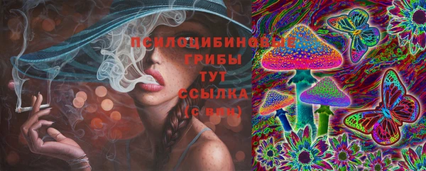 гашик Армянск