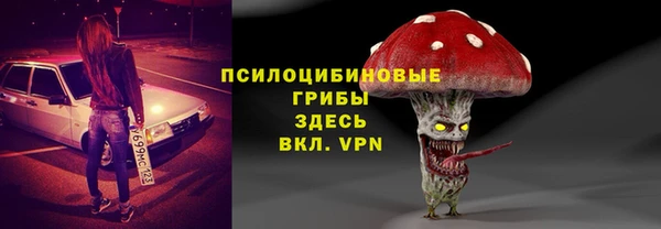 apvp Аркадак