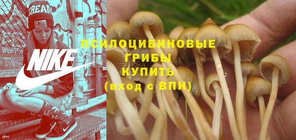 гашик Армянск