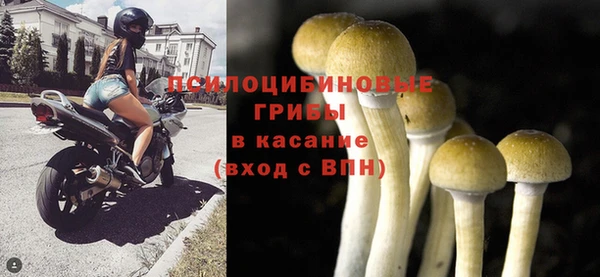 apvp Аркадак