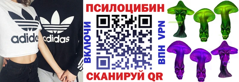 Псилоцибиновые грибы Psilocybe  Борисоглебск 
